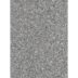 Corian Platinum